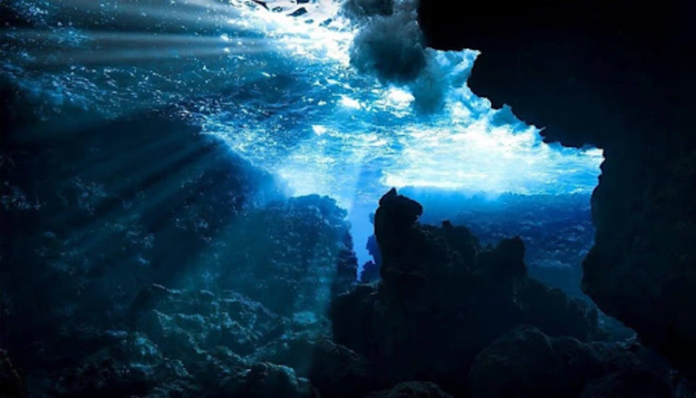 海洋デジタルツインと3Dシミュレーション最前線 -レアアース開発と海域可視化の最新技術-