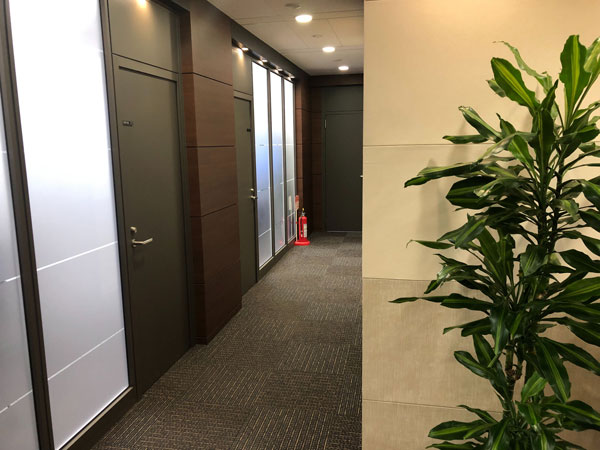 Developer life, a new team, a new home in Tokyo