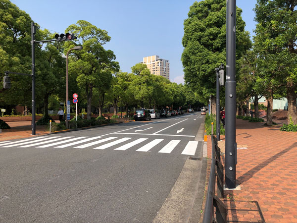 Developer life, a new team, a new home in Tokyo