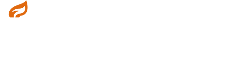 Silicon Studio