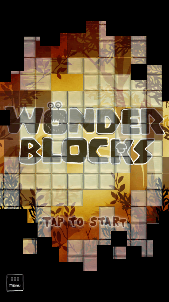 WONDER BLOCKS