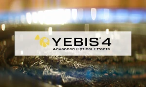 YEBIS 4