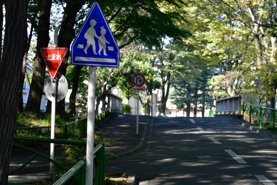 道路標識認識(TSR)