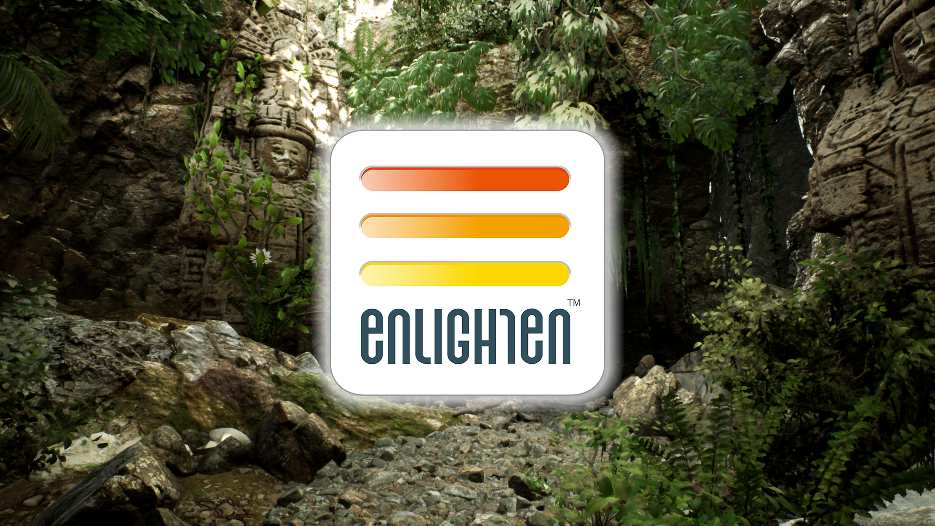 Enlighten